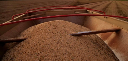 Estimativa para safra 2021/22 indica produção de 272,5 mi de t, + 6,7%