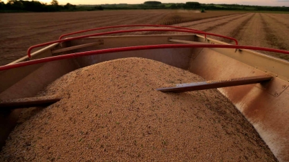 Estimativa para safra 2021/22 indica produção de 272,5 mi de t, + 6,7%