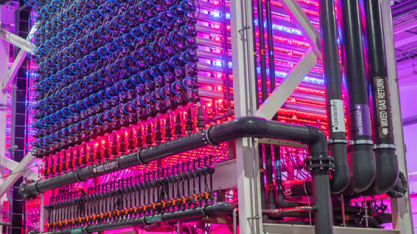 Entenda o futuro da energia que passa pelas algas como alimento