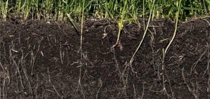 Como os cientistas começam a desvendar os sons desconhecidos da terra