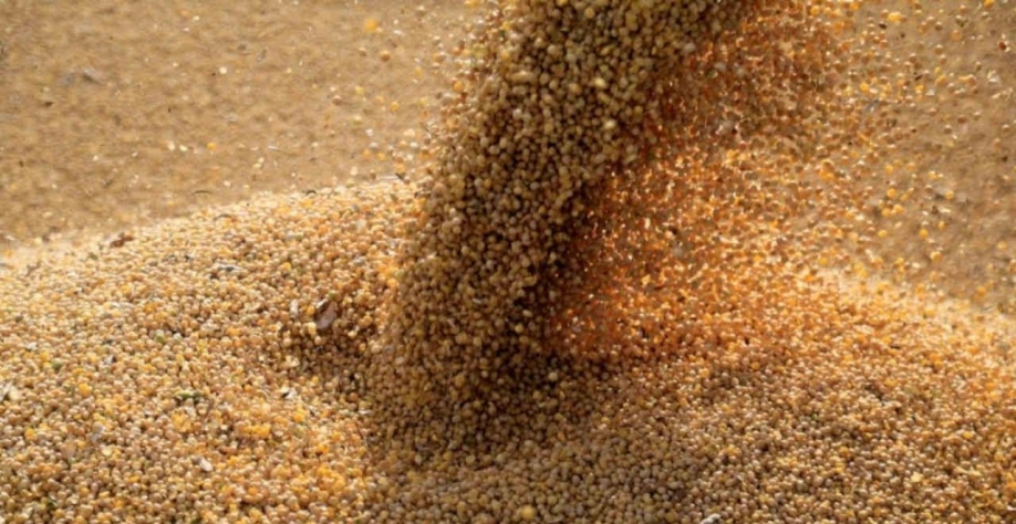 Brasil deve exportar 77,2 milhões de toneladas de soja no ano