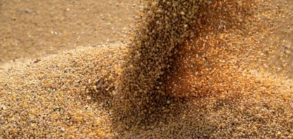 Brasil deve exportar 77,2 milhões de toneladas de soja no ano