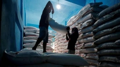 Índia: Produção de açúcar cairá com início de produção de etanol