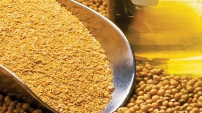 China abre mercado para farelo de soja do Brasil