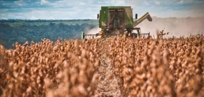 Volume exportado de soja em junho cai 8,5% ante jun/21