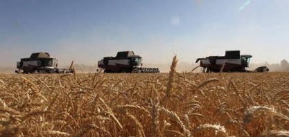 Preço dos agrícolas começa a cair, mas consumidor ainda não tem alívio