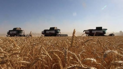 Preço dos agrícolas começa a cair, mas consumidor ainda não tem alívio