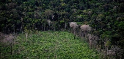 Amazônia perdeu 18 árvores por segundo em 2021, e desmate subiu 20% no país