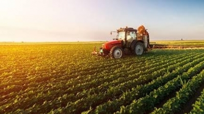 Poder de compra de fertilizantes pelo agricultor melhora em junho