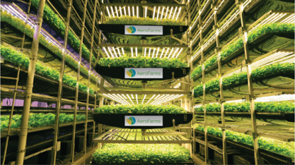 Agricultura indoor é janela para progresso, promessas e realidades