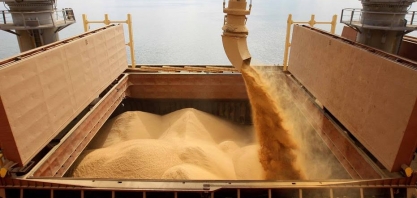 UE importa 60% de sua demanda de soja do Brasil 