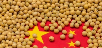 Importações de soja pela China caem 23% em junho com demanda fraca