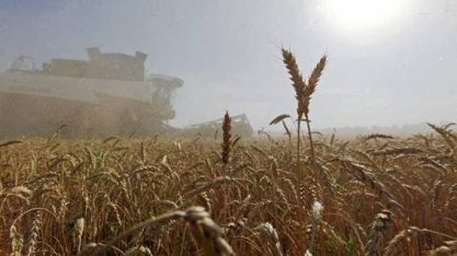 Acordo entre Ucrânia e Rússia alivia preço; apocalipse de calor preocupa