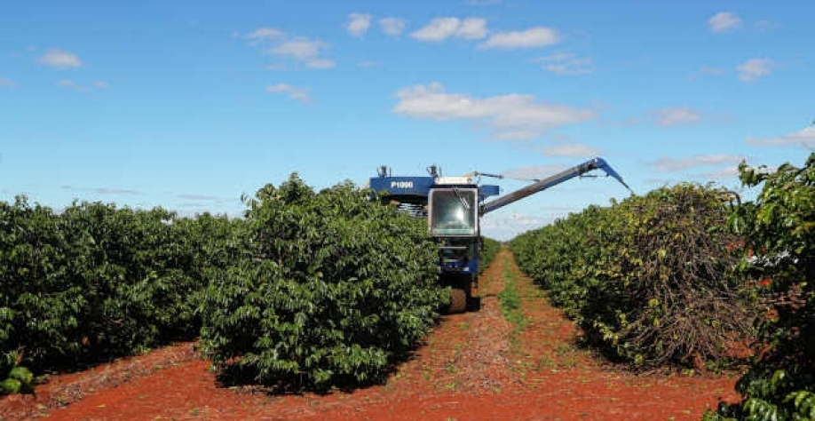 Café: Os fantasmas da recessão e da inflação assombram os mercados