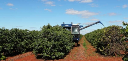 Café: Os fantasmas da recessão e da inflação assombram os mercados