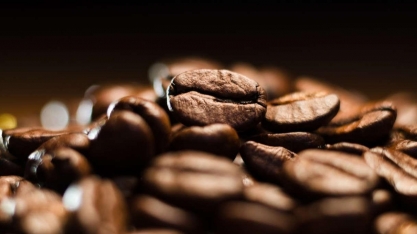 Exportação de café cai 13,3% na safra 2021/22, mas receita é recorde