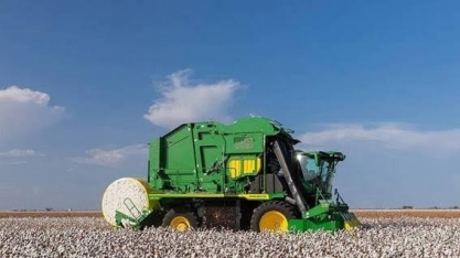  Algodão: Análise Conjuntural Agromensal Cepea/Esalq/USP de Julho/2022