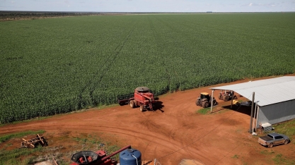 Milho: Análise Conjuntural Agromensal Cepea/Esalq/USP de Julho/2022