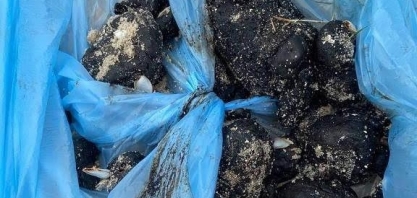 Após atingir Pernambuco, bolotas de óleo chegam a praias da Paraíba