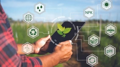 Tecnologia e Inovação: Chave para combater crise e desnutrição