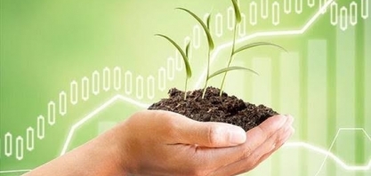 Agro é vida – Por Helen Jacintho