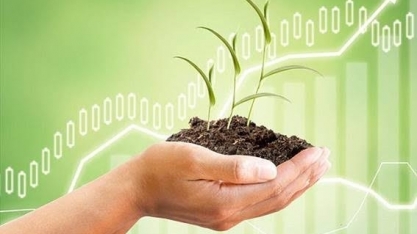 Agro é vida – Por Helen Jacintho