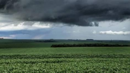 Início da safra de soja deve contar com chuvas para plantio