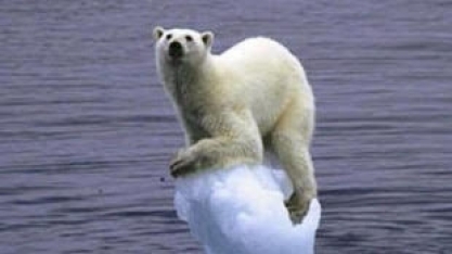 Ártico esquenta quatro vezes mais rápido que o resto da Terra