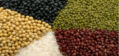 Safra 2021/22: Produção recorde de 271,4 mi de t, +6,2% ante 2020/21