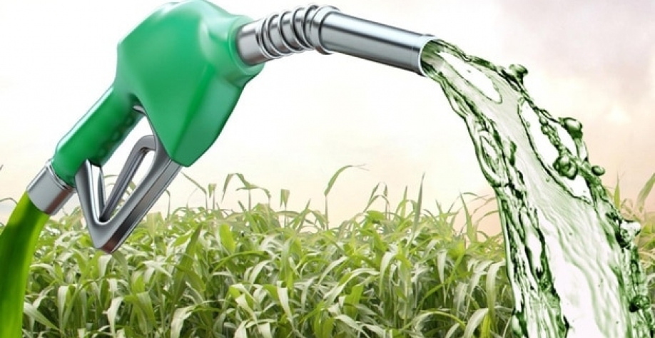 Etanol: Hidratado sobe 0,28% e anidro cai 1,47% na semana nas usinas de SP