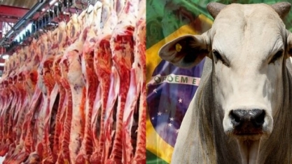 Exportação de carne bovina sobe 6,5% em julho e receita avança 22%