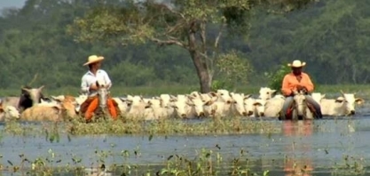 Governador de MT sanciona lei que altera proteção do Pantanal