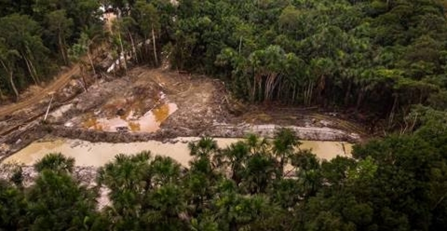 Imazon: Desmatamento na Amazônia Legal é o maior em 15 anos