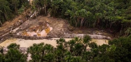 Imazon: Desmatamento na Amazônia Legal é o maior em 15 anos