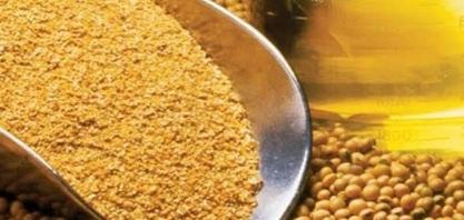 Brasil poderá vender farelo de soja à China em até 2 meses