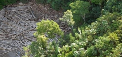 Inteligência artificial aponta área prioritária de combate ao desmatamento