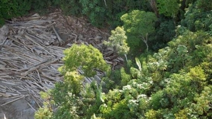 Inteligência artificial aponta área prioritária de combate ao desmatamento