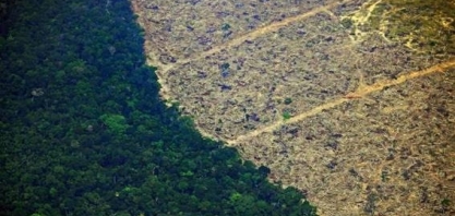 Desmatamento atinge bolsões antes preservados na Amazônia e no cerrado