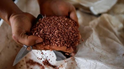 Entregas de adubos poderiam cair em função de preço em 2022