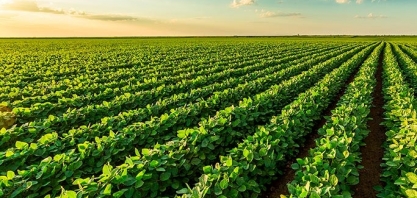Cenário econômico derruba confiança do agronegócio no 2º trimestre 