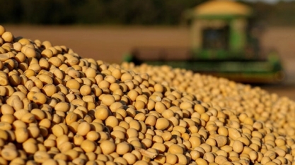 China: Importação de soja cai 9,1% em julho, para 7,88 mi de toneladas