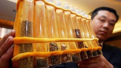 O ambicioso projeto da China para criar novos alimentos no espaço