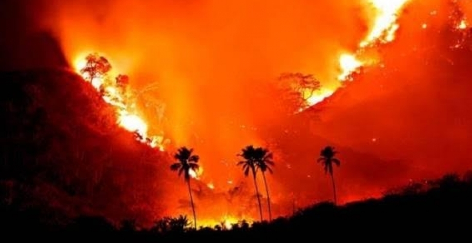 Amazônia tem dia com mais queimadas do que 'dia do fogo', de 2019