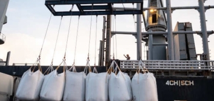 Açúcar: Exportação em julho é 22,4% maior que em 2021 e soma 2,88 mi de t