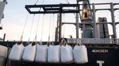 Açúcar: Exportação em julho é 22,4% maior que em 2021 e soma 2,88 mi de t