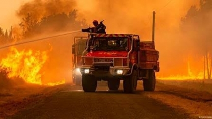 Europa tem recorde de áreas devastadas por incêndios