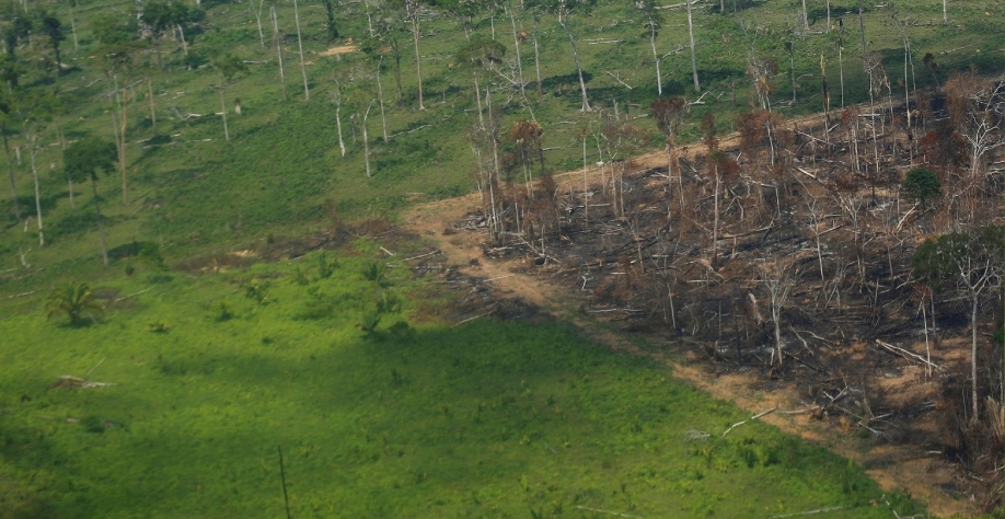 Brasil está longe da meta de zerar desmatamento ilegal até 2028 