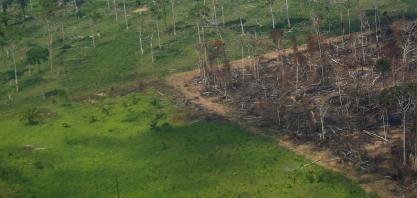 Brasil está longe da meta de zerar desmatamento ilegal até 2028 