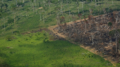 Brasil está longe da meta de zerar desmatamento ilegal até 2028 