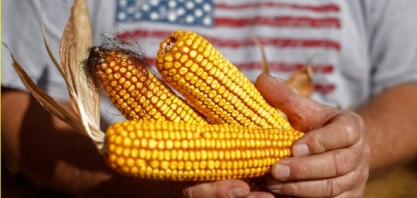 Etanol/EUA: Indústria quer reduzir emissões; agricultores estão relutantes